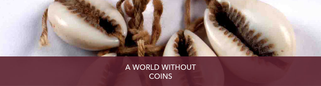A world without coins